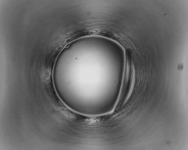 X0000091090660200708131320
