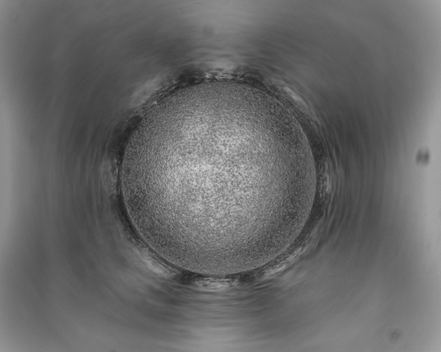 X0000091090661200708131320