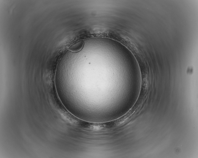X0000091090662200708131321