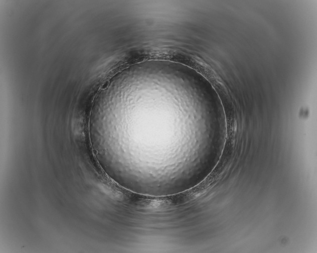 X0000091090663200708131321