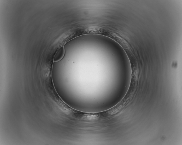 X0000091090665200708131321