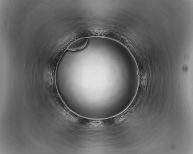 X0000091090666200708131321