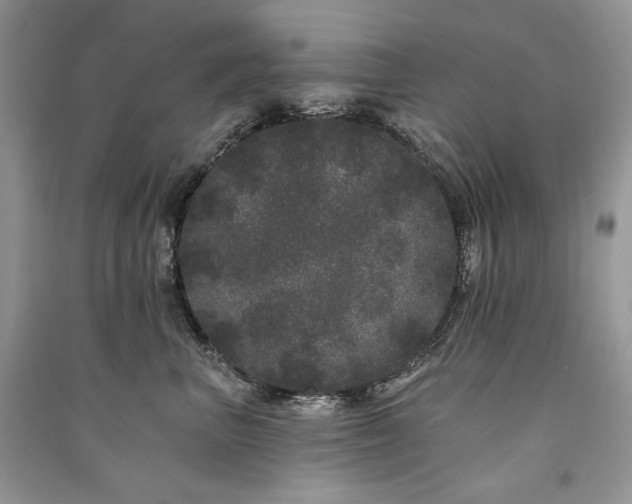 X0000091090667200708131321