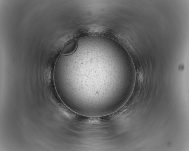 X0000091090668200708131321
