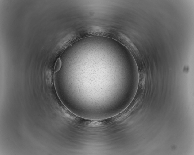 X0000091090669200708131321