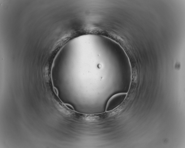 X0000091090670200708131321