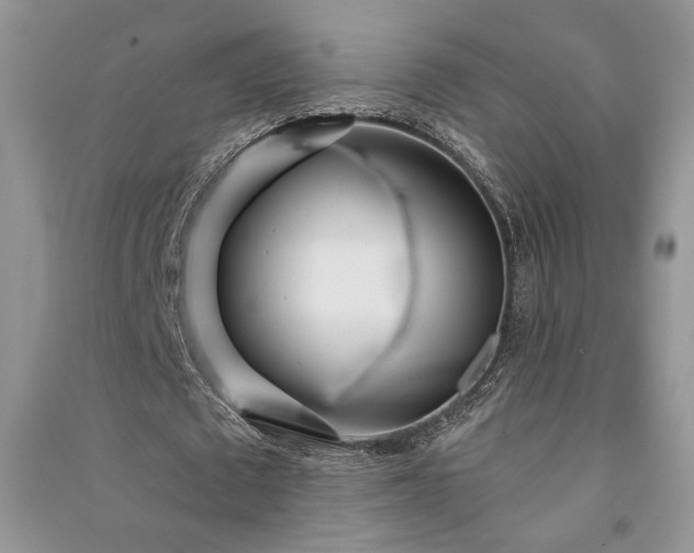 X0000091090673200708131320