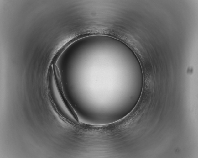 X0000091090674200708131320