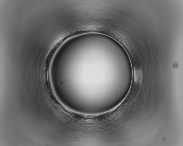 X0000091090675200708131320