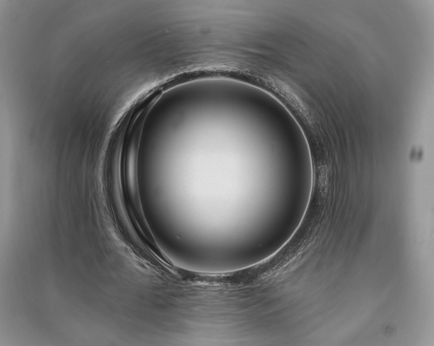 X0000091090676200708131320