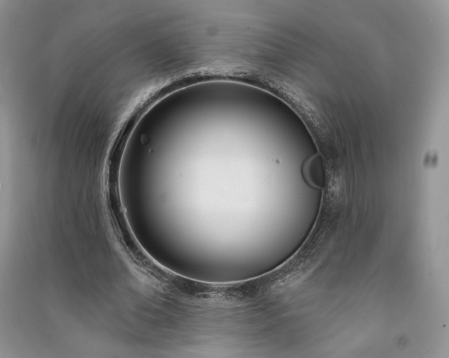 X0000091090678200708131320