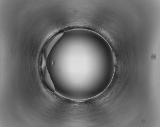 X0000091090680200708131320