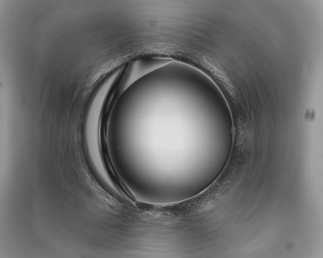 X0000091090681200708131320