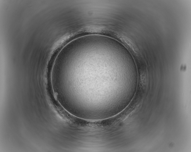 X0000091090682200708131320