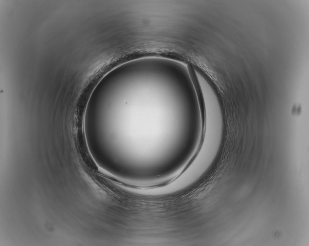 X0000091090683200708131320