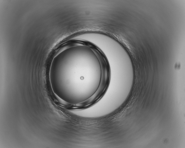 X0000091090684200708131320