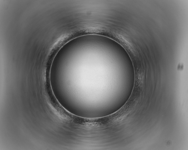 X0000091090686200708131320