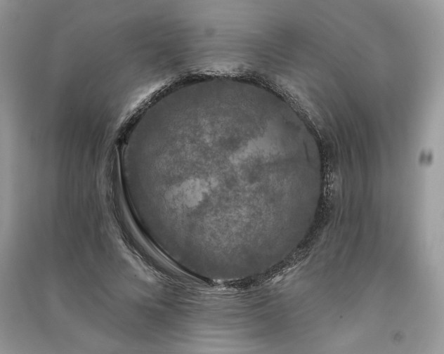 X0000091090688200708131320