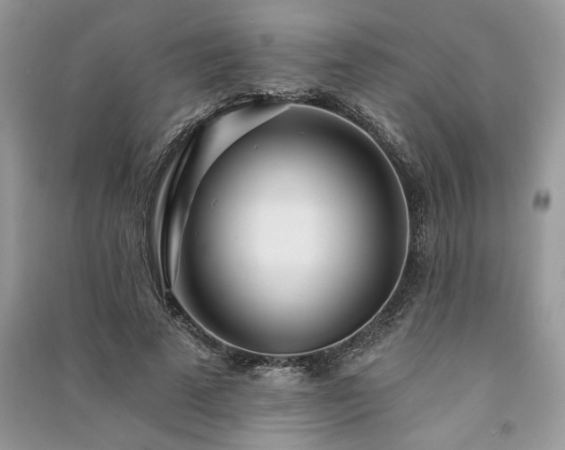 X0000091090689200708131320