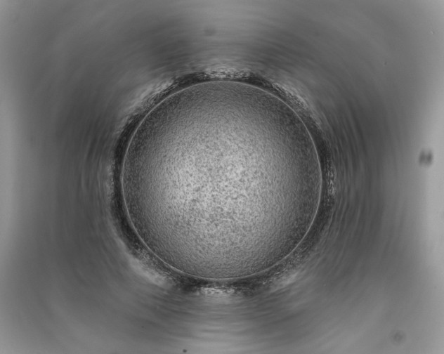 X0000091090690200708131320