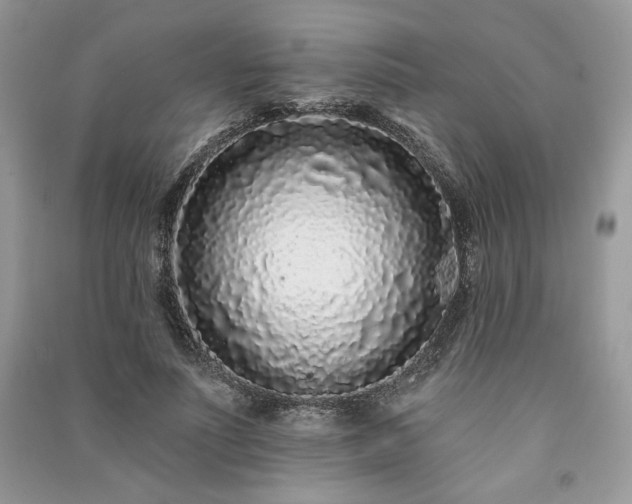 X0000091090691200708131320