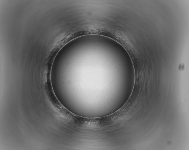 X0000091090694200708131320