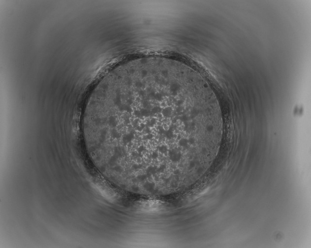X0000091090695200708131320