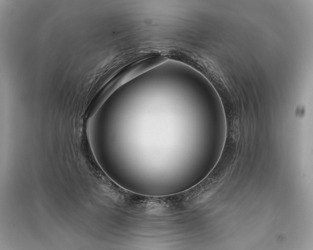 X0000091090697200708131320