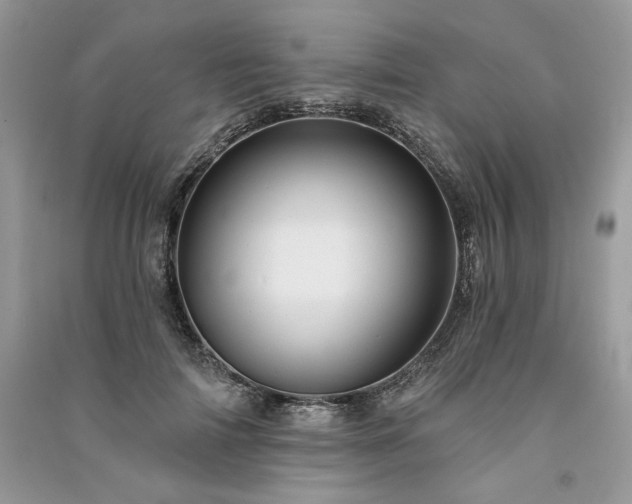 X0000091090698200708131320