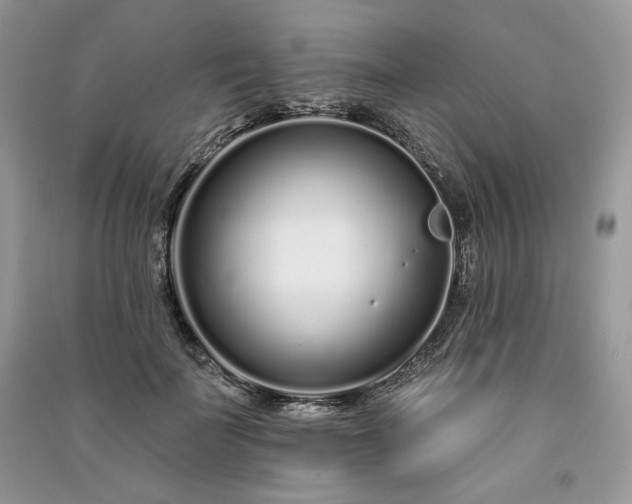 X0000091090699200708131320
