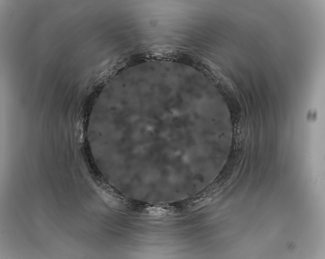 X0000091090703200708131320