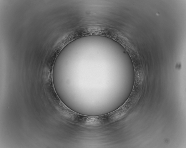 X0000091090705200708131320