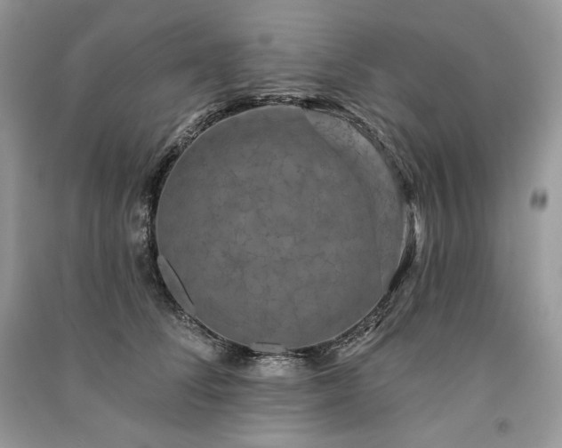 X0000091090708200708131319