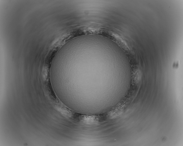 X0000091090709200708131319