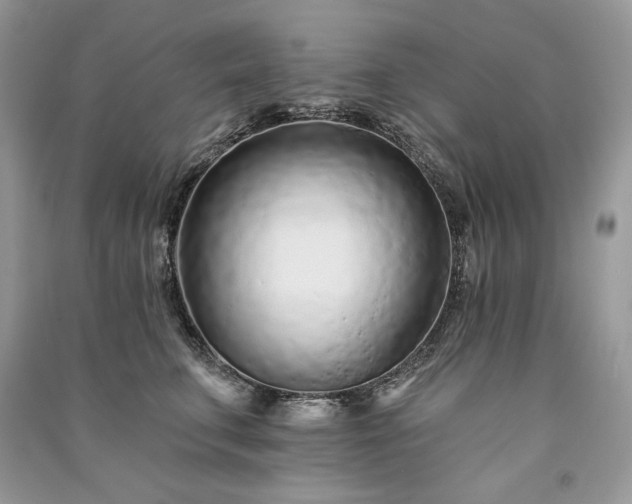 X0000091090711200708131319