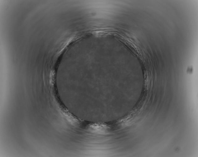 X0000091090712200708131319