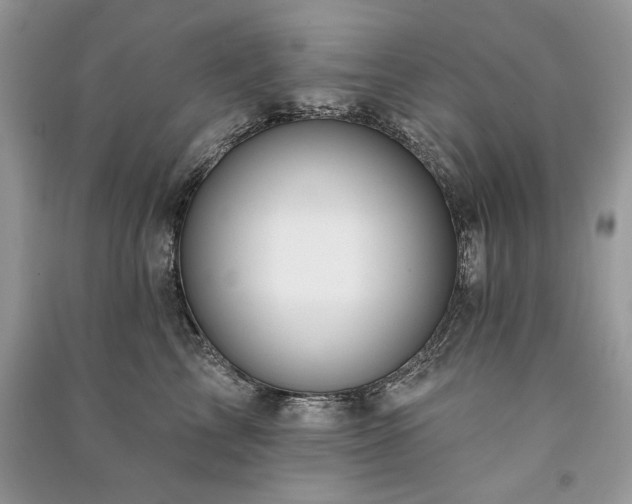 X0000091090713200708131319