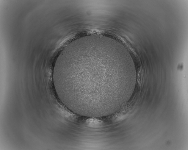 X0000091090714200708131319