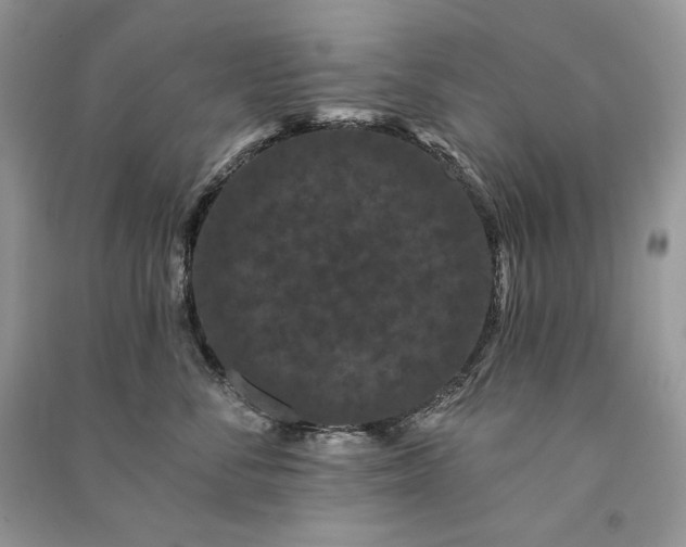 X0000091090716200708131319