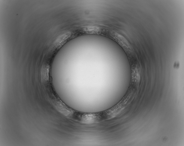X0000091090717200708131319