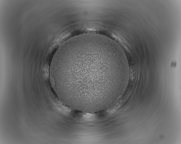 X0000091090718200708131319