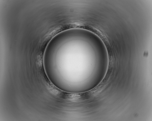 X0000091090719200708131319