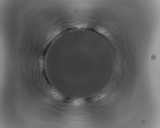 X0000091090720200708131319