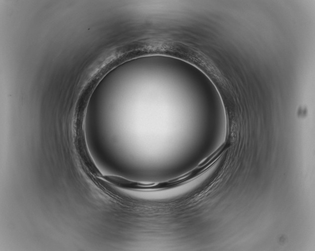 X0000091090722200708131319