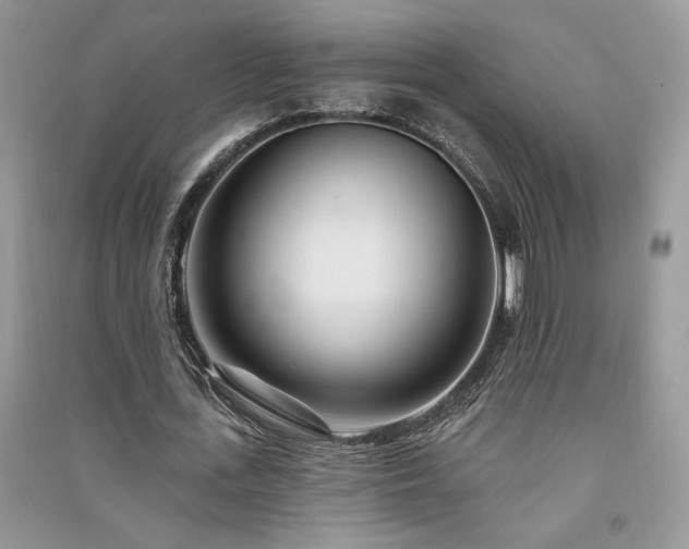X0000091090723200708131319