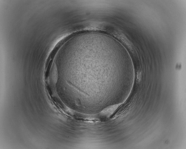 X0000091090724200708131319