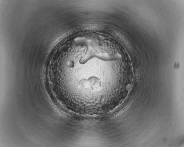 X0000091090725200708131319