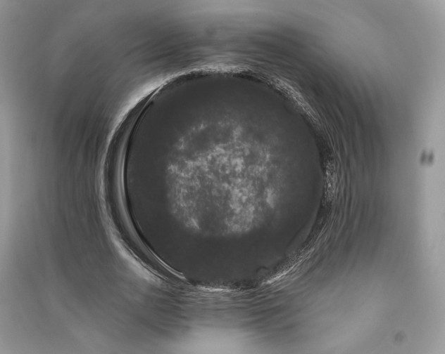 X0000091090726200708131319