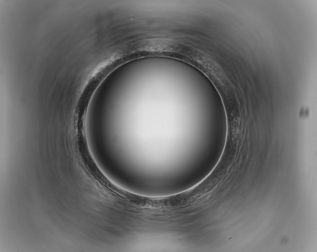 X0000091090727200708131319