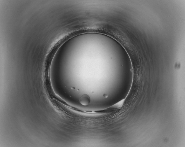 X0000091090728200708131319